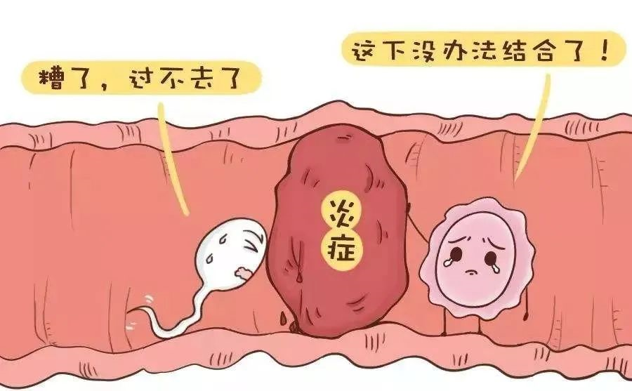 武汉民间供卵试管机构排名揭晓，2023前十人气生殖医院名单公布-甲胎蛋白是检